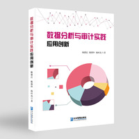 数据分析与审计实践应用创新