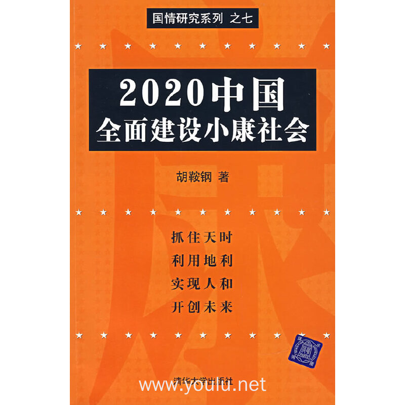 2020中国全面建设小康社会/国情研究系列