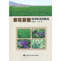 紫花苜蓿抗寒转基因研究
