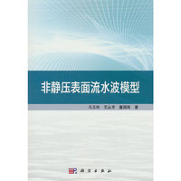 非静压表面流水波模型