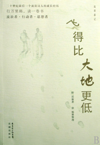 飞得比大地更低