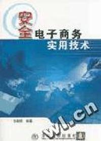 安全电子商务实用技术