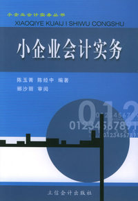 小企业会计实务——小企业会计实务丛书