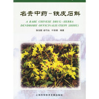 名贵中药-铁皮石斛