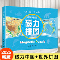 全新中国 世界磁力拼图学生专用磁力学具磁性拼图数学磁吸教具早教益智玩具
