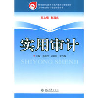 实用审计
