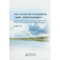 经济下行压力加大条件下农村家庭债务风险生成机理、影响因素及防范机制研究