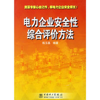 电力企业安全性综合评价方法