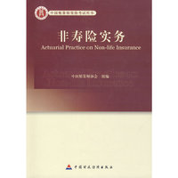 非寿险实务(中国精算师考试用书)