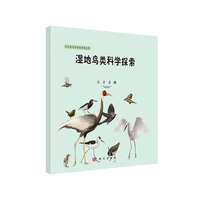 湿地鸟类科学探索
