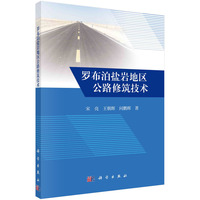 罗布泊盐岩地区公路修筑技术