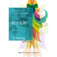 审计实训
