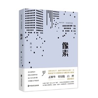 像素（陈武文集·北京追梦故事）