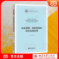 国家规模、要素集聚和技术发展优势 构建大国发展经济学框架 实证检验三大假说 揭秘中国创新发展路径 大国发展经济学系列