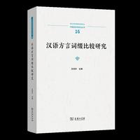 汉语方言词缀比较研究