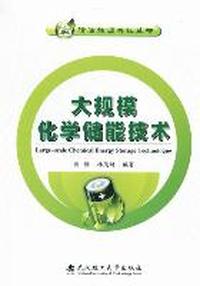 大规模化学储能技术