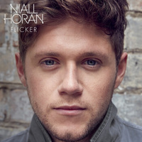 奈尔·霍兰 Niall Horan ：闪耀 flicker （豪华版）（CD）