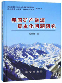 我国矿产资源资本化问题研究