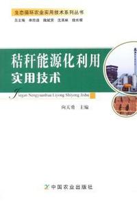 隋唐五代十国-中国历史报