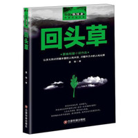 中国新锐派作家作品文库 回头草