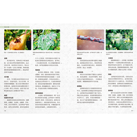 英国皇家植物园栽种秘笈：水果