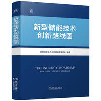新型储能技术创新路线图   新型储能技术创新路线图编委会    龚少明 译