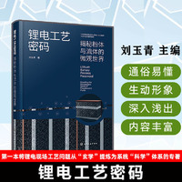 锂电工艺密码：揭秘粉体与流体的微观世界