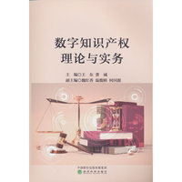 数字知识产权理论与实务