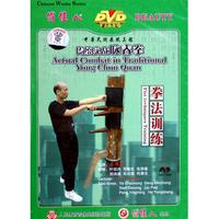 DVD传统实战咏春拳(拳法训练)