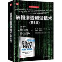 灰帽渗透测试技术(第6版)
