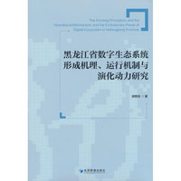 黑龙江省数字生态系统形成机理、运行机制与演化动力研究