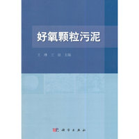 好氧颗粒污泥