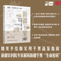 新疆干果：丝绸之路上的传奇