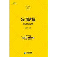 公司估值：原理与实务