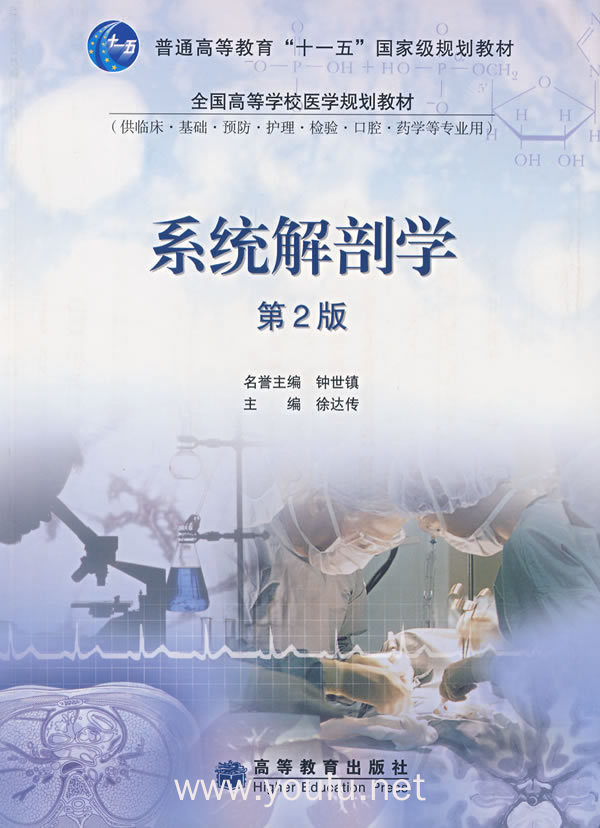系统解剖学(第2版)