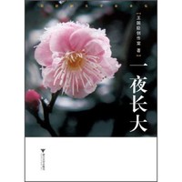 一夜长大