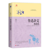 鲁迅杂文精选集 (“在人人说假话的年代讲真话;在人人麻木的年代拥有充实的心灵。”鲁迅最真实反映中国大众灵魂的第1书!)&nbsp