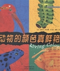 动物的颜色真鲜艳