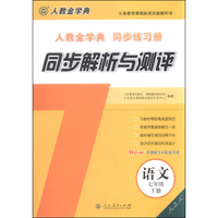 同步解析与测评：语文（七年级下册 人教版 人教金学典同步练习册）