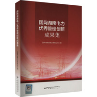 国网湖南电力优秀管理创新成果集