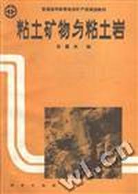 粘土矿物与粘土岩