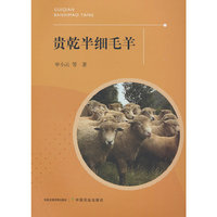 贵乾半细毛羊