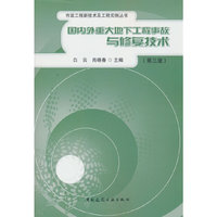 国内外重大地下工程事故与修复技术（第三版）