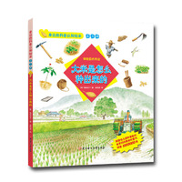 大米是怎么种出来的-体验田间劳动