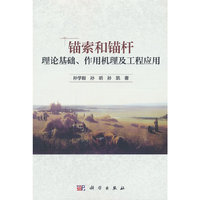 锚索和锚杆理论基础、作用机理及工程应用