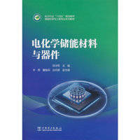 电化学储能材料与器件