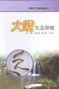 初中生综合实践活动:彩色版