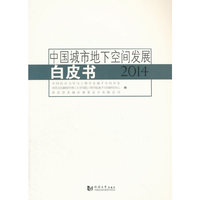 2014-中国城市地下空间发展白皮书