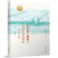技术执行视角下乡村有效治理的理论与实践