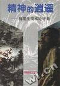 精神的逍遥--梅墨生美术论评集